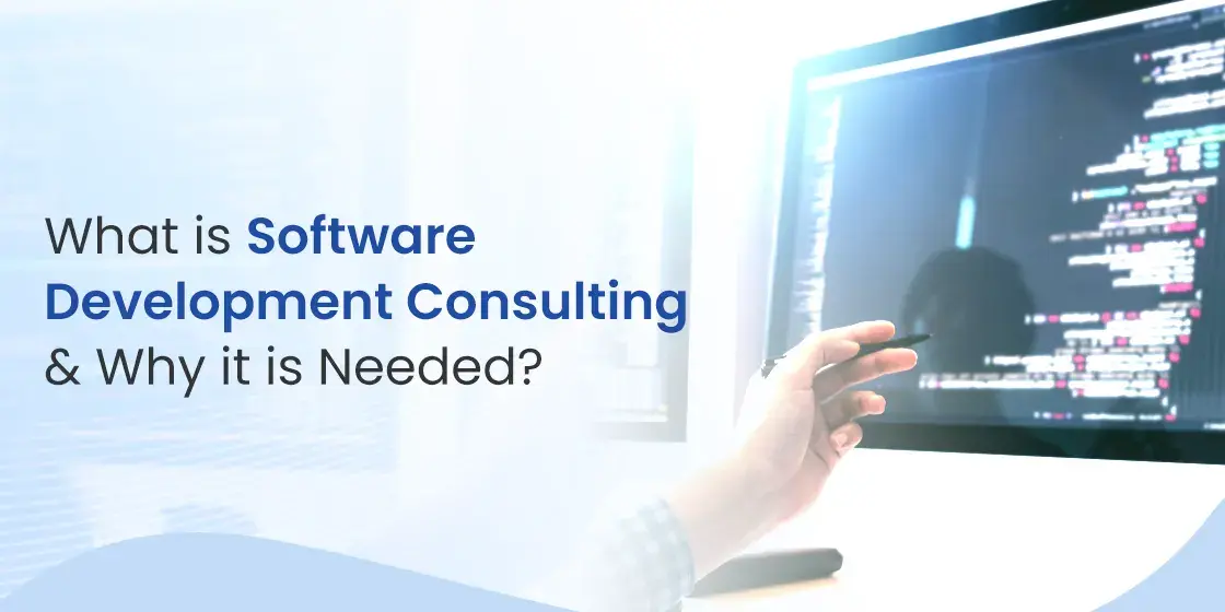 software-development-consulting